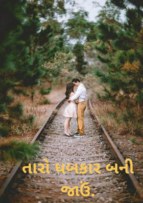 તારો ધબકાર બની જાઉં