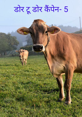 डोर टू डोर कैंपेन- 5