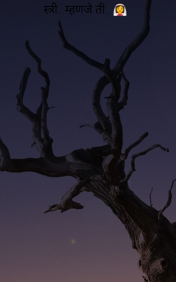 स्त्री... म्हणजे ती...