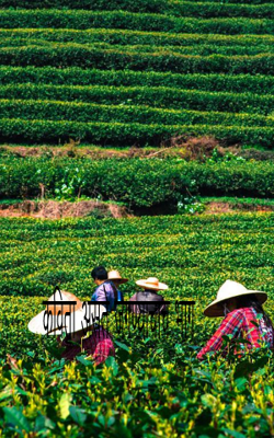 कविता असते जगण्याचाच भाग