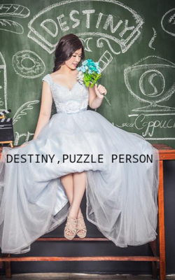 DESTINY, PUZZLE PERSON