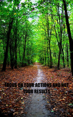 FOCUS ON YOUR ACTIONS AND NOT YOUR RESULTS