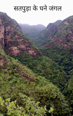 सतपुड़ा के घने जंगल