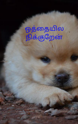 ஒத்தையில நிக்குறேன்