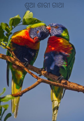 ଶୁଆ ଶାରୀ ଗାଥା