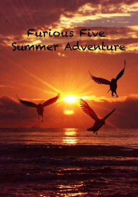 Furious Five Summer Adventure