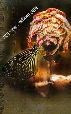 মনে পড়ে - অনিন্দ্য ঘোষ