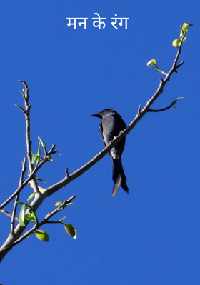 मन के रंग
