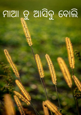 ମାଆ ତୁ ଆସିବୁ ବୋଲି