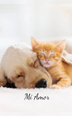 Mi Amor