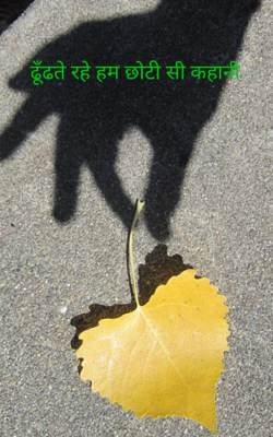 ढूँढते रहे हम छोटी सी कहानी