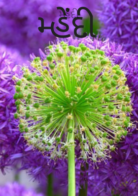 મ્હેંદી