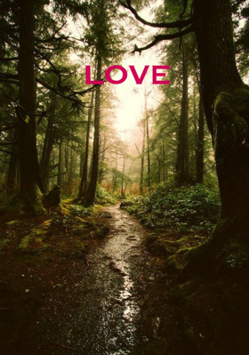 Love