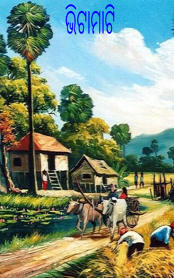 ଭିଟାମାଟି