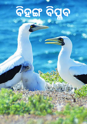 ବିହଙ୍ଗ ବିପ୍ଳବ