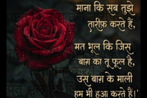 "माना कि सब तेरी तारीफ़ करते हैं,
माना कि सब तुझे देखकर तेरी तारीफ़ करते हैं,
मत भूल कि जिस बाग़ का तू फूल है,
उस बाग़ के माली हम भी हुआ करते हैं।"