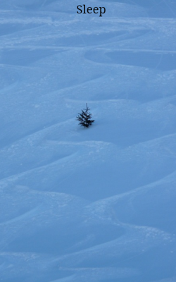 Sleep