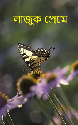 লাজুক প্রেমে