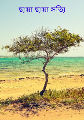 ছায়া ছায়া সত্যি
