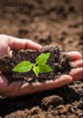 Soulful Wish On World Soil Day