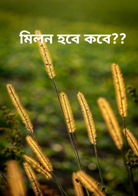 মিলন হবে কবে??