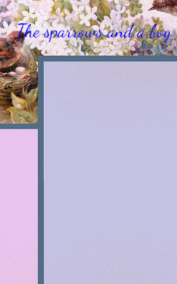 The sparrows and a boy