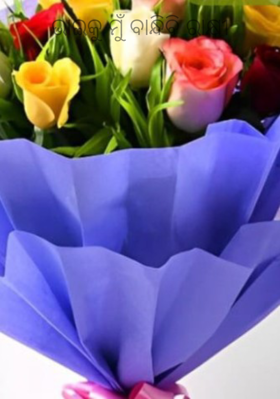 ଭାଇକୁ ମୁଁ ବାନ୍ଧିବି ରାକ୍ଷୀ