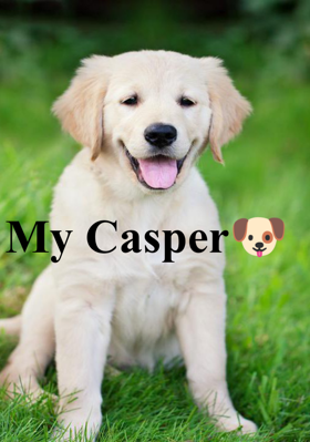 My Casper