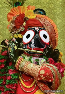 ନାଆଁ ଟା ତାର କାଳିଆ