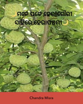 ମନେ ପଡେ ହେରlଗୌରୀ ସାହିରେ ହେରାପଞ୍ଚମୀ