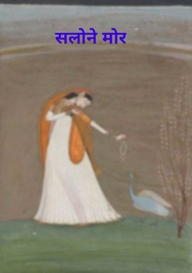 सलोने मोर