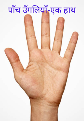 पाँच उँगलियाँ-एक हाथ
