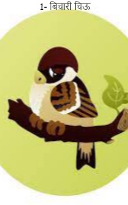 1- बिचारी चिऊ