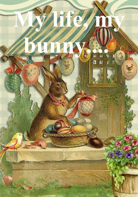 My life, my bunny....