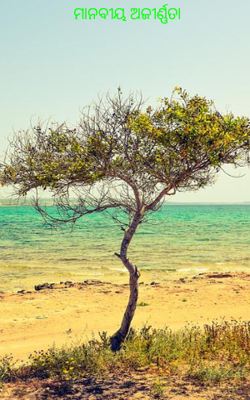 ମାନବୀୟ ଅଜୀର୍ଣ୍ଣତା 