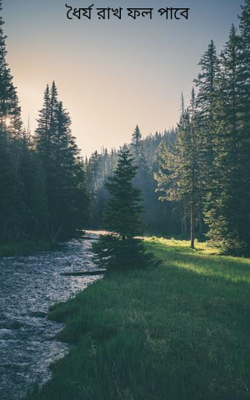 ধৈর্য রাখ ফল পাবে