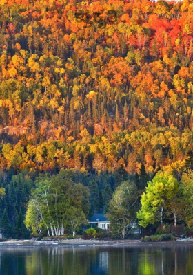 ಪ್ರಕೃತಿ
