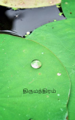 திருமந்திரம்