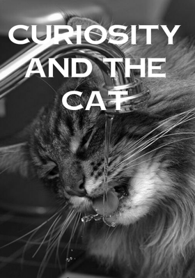 Curiosity and the Cat