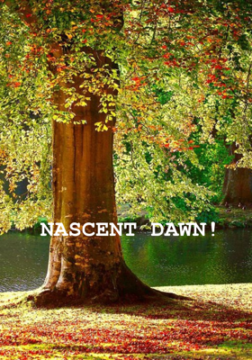 NASCENT DAWN!