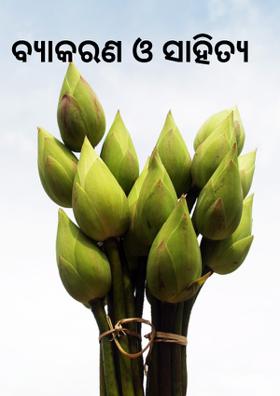 ବ୍ୟାକରଣ ଓ ସାହିତ୍ୟ