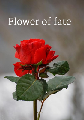 Flower Of Fate