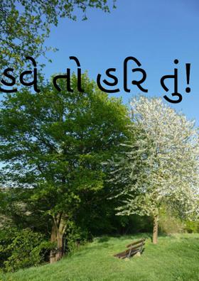 હવે તો હરિ તું