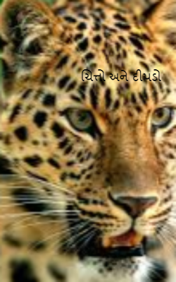 ચિત્તો અને દીપડો