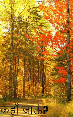 कहाँ  जाऊं?