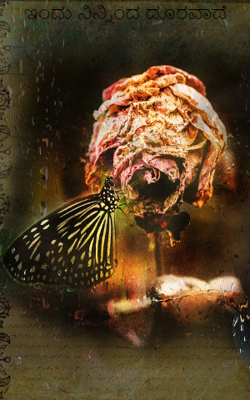 ಇಂದು ನಿನ್ನಿಂದ ದೂರವಾದೆ