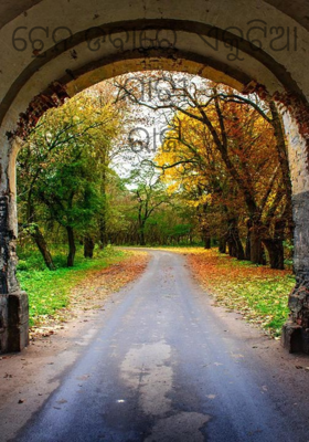 ଟ୍ରେନ ଡବାରେ  ଏକୁଟିଆ ଯାତ୍ରୀରାଜ