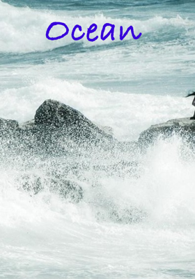 Ocean