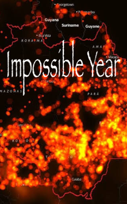 Impossible Year
