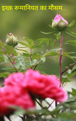 इश्क़ रूमानियत का मौसम...